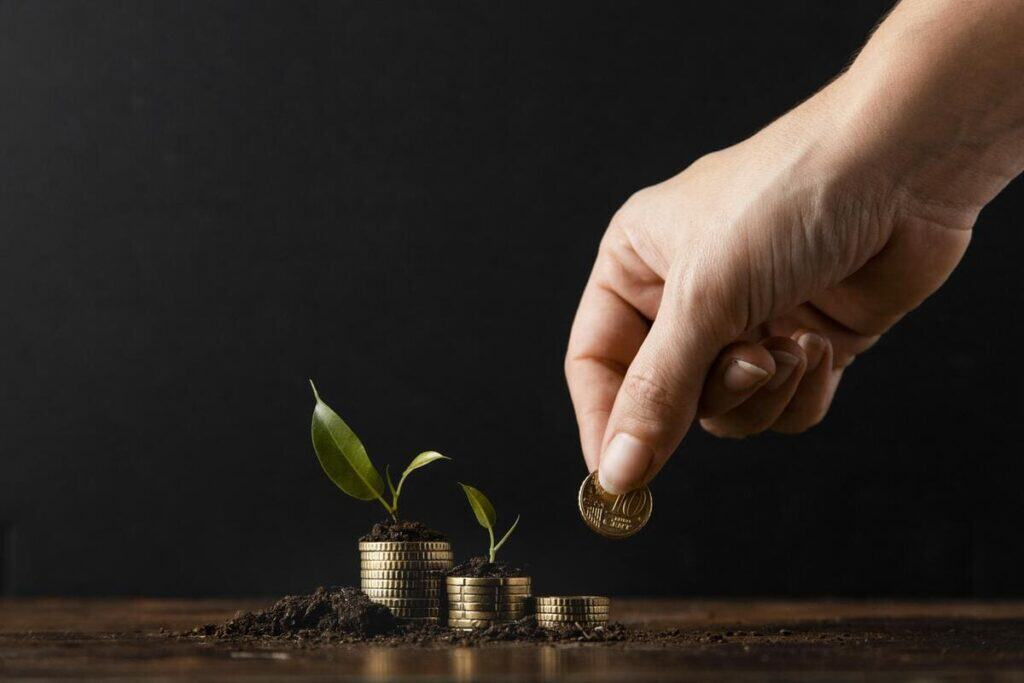 budget wealth growing through steady investment as a hand places a coin onto stacked coins with a young plant emerging from the soil