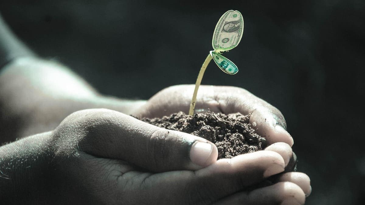 Healthy relationship with money: hands gently holding soil with a small sprouting plant, symbolizing growth and mindful financial habits.
