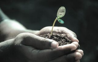 Healthy relationship with money: hands gently holding soil with a small sprouting plant, symbolizing growth and mindful financial habits.