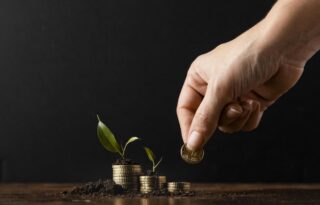 wealth growing through steady investment as a hand places a coin onto stacked coins with a young plant emerging from the soil